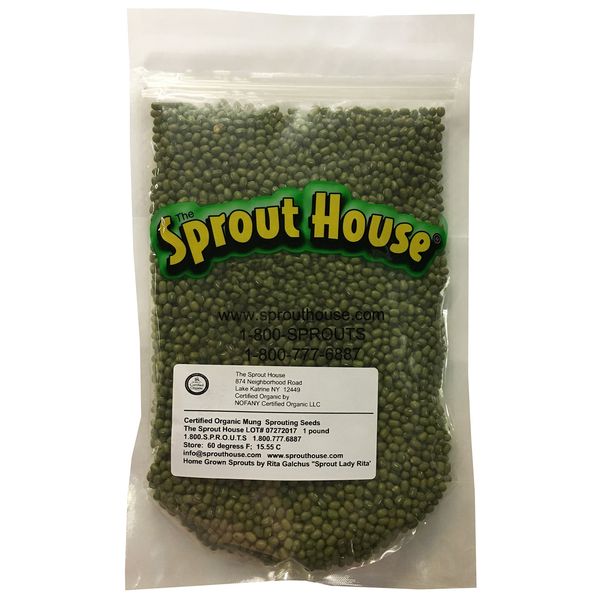 Organic Sprouting Seeds Mung Bean 1 Pound the Sprout House