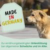 SeniorDog 70 g