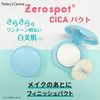 Today's Cosme Zero Spot Cicapact Face Powder Finish Powder Makeup Repair Korean Cosmetics