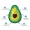 Fringe Studio Squeaker Pet Toy, Avocado (729008) Medium