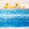 Lanco 8424678008052 Squeaky Duck 100% Natural Rubber, Yellow