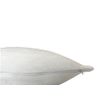 Pillowtex Soft Plush Tencel Pillow Cover 2 Pack - King Size