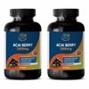 Antioxidant Water Filter System - Acai Berry Extract 1200mg 2B - Acai Extract