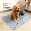 2Pack Dog Pee Pads Super Absorbent Washable Pet Training Pad Waterproof Non-Slip