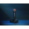 SE Electronics V2-SW-XLR Supercardioid Dynamic Handheld Microphone with On/Off Switch (Includes 15' Cable)