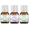 Essential Oil Set 3 - 5 ml. 100% Pure Natural Lavender Peppermint Eucalyptus