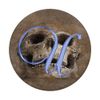 U Blue Skull Skeleton Dead Horror Initial Monogram Letter PopSockets Swappable PopGrip