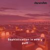 Denicotea 20213 tip