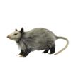 Opossum 12" (8041)