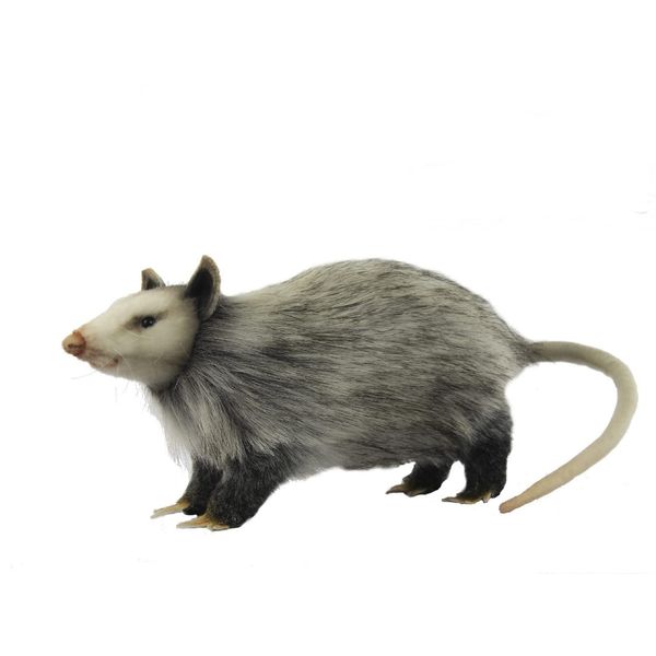 Opossum 12" (8041)