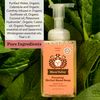 Moon Valley Herbal Foaming Hand Soap, Vegan (Candy Cane, Recyclable Bottle)