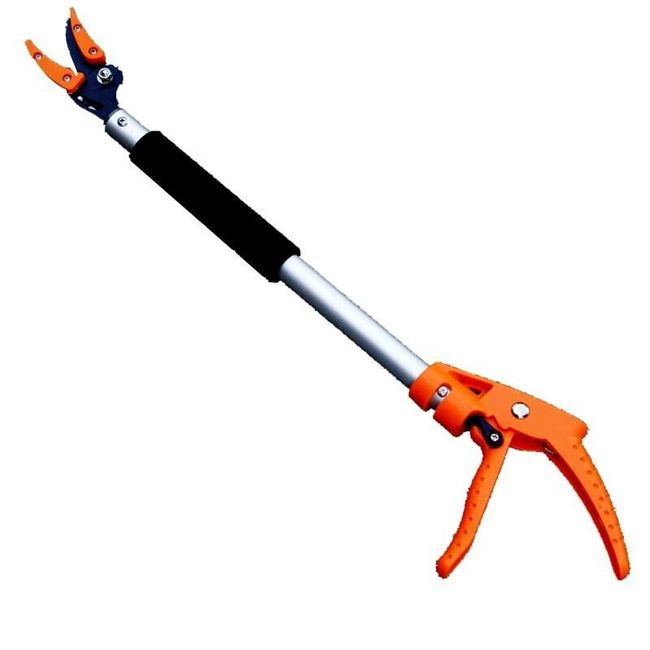 Garden Tools which Prune Tree Limbs Safely