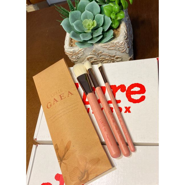 NEW Luxie Gaea Brush Set 3 Piece Wooden Pink BRAND NEW Boxycharm 2019