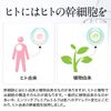 Human Stem Cell Milk, EGF FGF, Gloss Factor, Stem Cell Cosmetics (1 Piece)