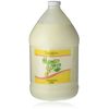 TRIPLE LANOLIN Mango Vera Lotion, 1 Gallon