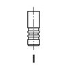 Ipsa VL227800 Inlet Valve