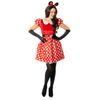 Lady Mouse Costume