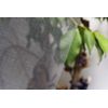 Biocare White Insect Mesh 1.2 mt Wide