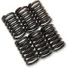 Barnett Performance Products Clutch Spring Kit