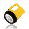 Eveready LED Floating Lantern Flashlight, Battery Powered LED Lanterns for Hu...