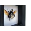 Real Steampunk Rhino Beetle Insect Taxidermy Display Shadow Box