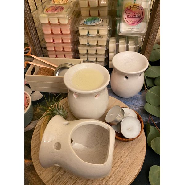 WAX WARMER SET - Abundance