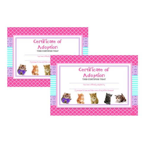 Silly Goose Gifts Glam Kitty Cat Pet Adoption Party Supply Theme (Adoption Certificate)