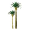 JTT Professional Series Phoenix Palm 3" HO/N Scale -3 Pack