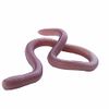 O.S.P MC Deca OSP MMZ 066 Esnatural 3 Pack