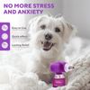 Beloved Pets Anxiety Calming Pheromone Diffuser Refill for Dogs 2 Pack