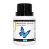 POLYVINE Quick-Dry Acrylic Clear Decorators Varnish Gloss 100ml
