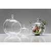 glass bowl BALL Ø 15 x 13,5 cm