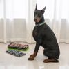 Ear Stand Up Tape Puppy Fixed Support Patch Tool Earrings Baby
