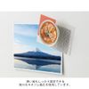 Midori 43408006 Magnetic Magnet, 1 Pack, Ramen Pattern