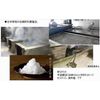 Naruto's Uzushio Salt Stand Pack (14.1 oz (400 g)