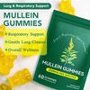 Mullein Gummies 2000mg for Lungs, Enhances Immune Function, Promotes Digestive Health, Mullein Leaf Extract for Lung