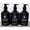 3 PACK Zenology Fycus Sycomorus Nourishing Shampoo 16.9oz