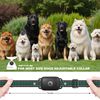 Heaflex Dog Training Collar Accessory, Replacement Dog Shock Collar Receiver, for D10 Series