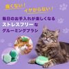 Tangle Teaser Pet Teaser Cat Friendly Mint