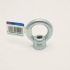 AII 15-105 Eye Nut, Lifting Connection, Fixed, 3/8 Inch