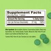 Fergon High Potency Iron Supplement Tablets, 100 Count, Pack of 2
