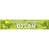 Kopek Personalised Dinosaur Birthday Banner