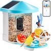 Smart Bird Feeder with HD Camera Solar Panel AI Identify Birds APP Wi-Fi