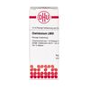 DHU Chelidonium LM VI Dilution, 10 ml Lösung