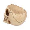Nemesis Now Lobo Ashtray 13.5cm Ivory
