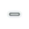 Apple USB-C to Apple Pencil Adapter ​​​​​​​