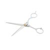 SE 2-Piece Barber and Thinning Scissors Set - SCB201P