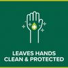 Palmolive Hygiene Plus Eucalyptus Handwash 300 ml