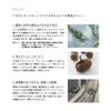 THREE Balancing Stem Jelly Wash
