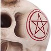 Nemesis Now Horror Skull Ornament, Resin, White Bone Devil, 20cm